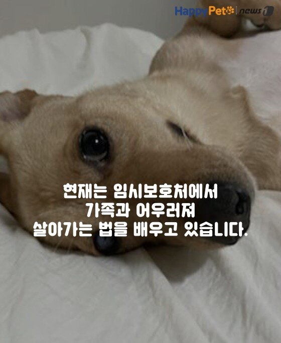 본문 이미지 -  