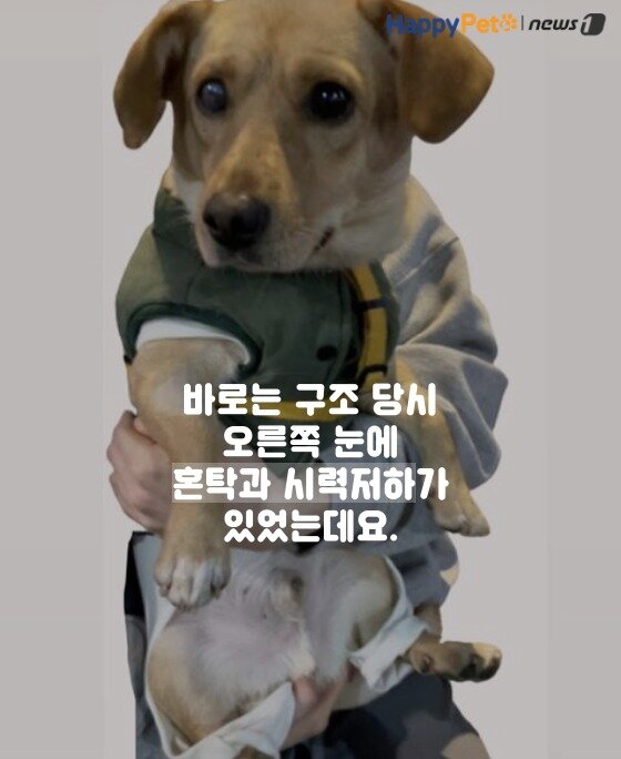본문 이미지 -  