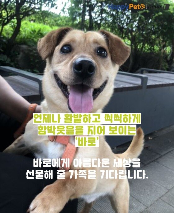 본문 이미지 -  