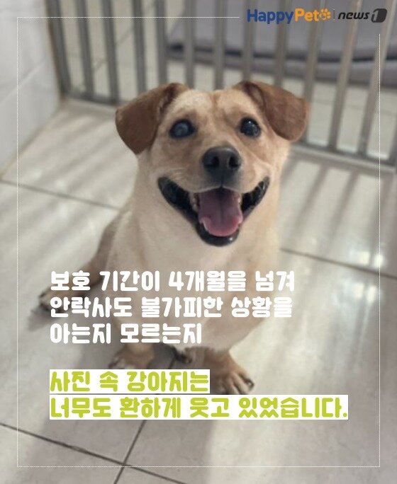 본문 이미지 -  