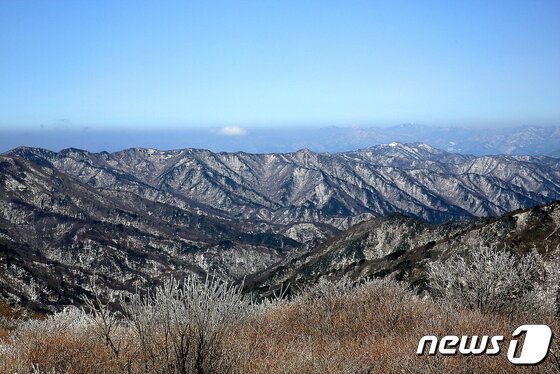 본문 이미지 - 겨울의 서북능선. 고산준령 능선 밑으로 수십개 산자락이 내려가 삼원계곡과 달궁계곡을 만난다. ⓒ 뉴스1