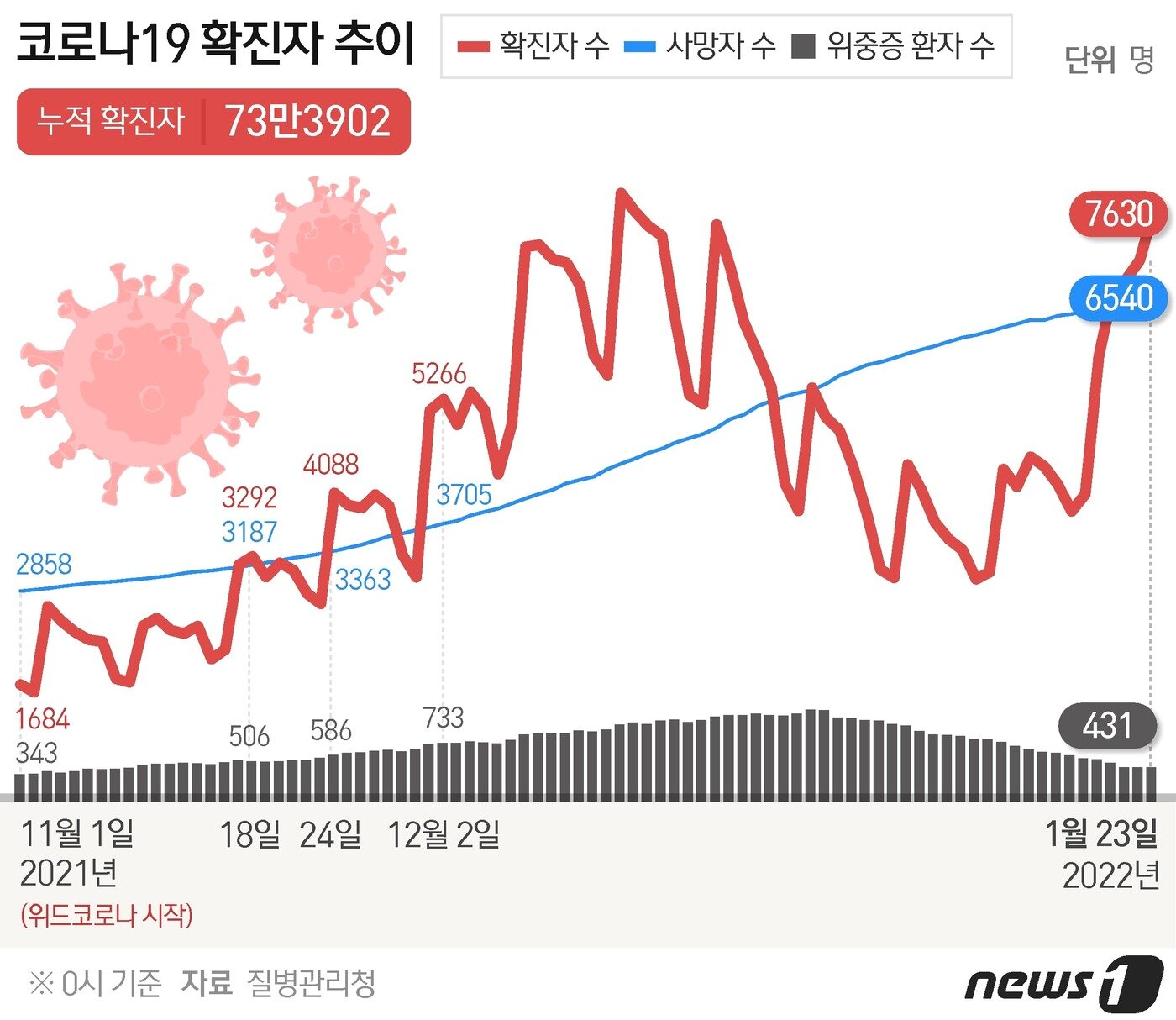 본문 이미지 - ⓒ News1 윤주희 디자이너