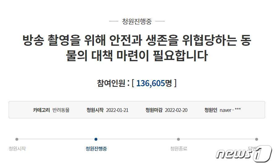 본문 이미지 - 청와대 국민청원 게시판에 지난 21일 올라온 '방송 촬영을 위해 안전과 생존을 위협당하는 동물의 대책 마련이 필요합니다'라는 청원은 24일 현재 13만6605명이 동의한 상태다. ⓒ 뉴스1