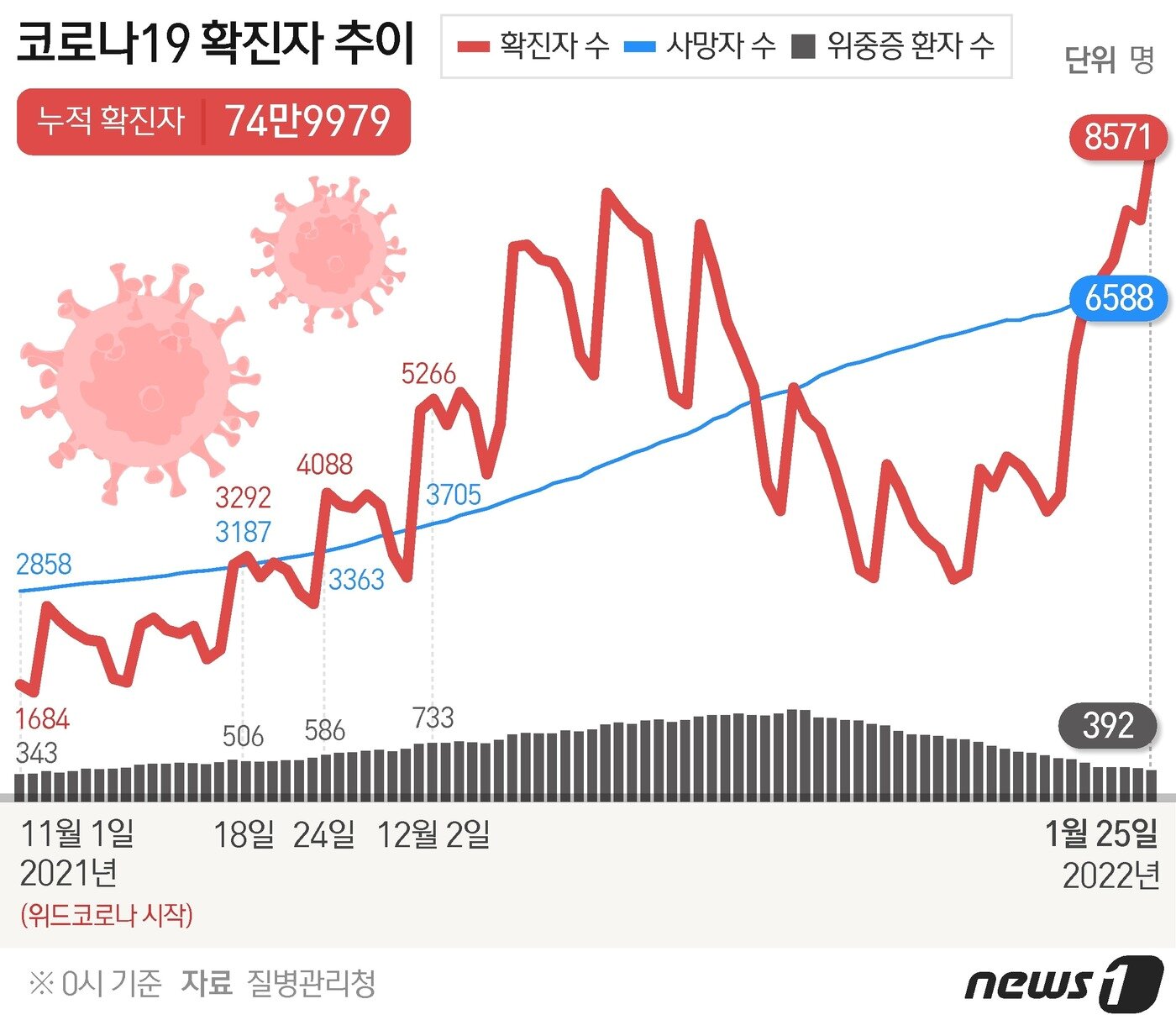 본문 이미지 - ⓒ News1 윤주희 디자이너