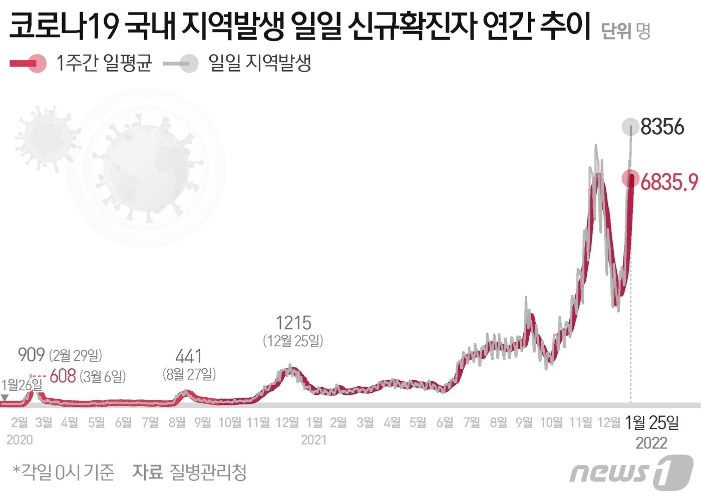 본문 이미지 - ⓒ News1 윤주희 디자이너