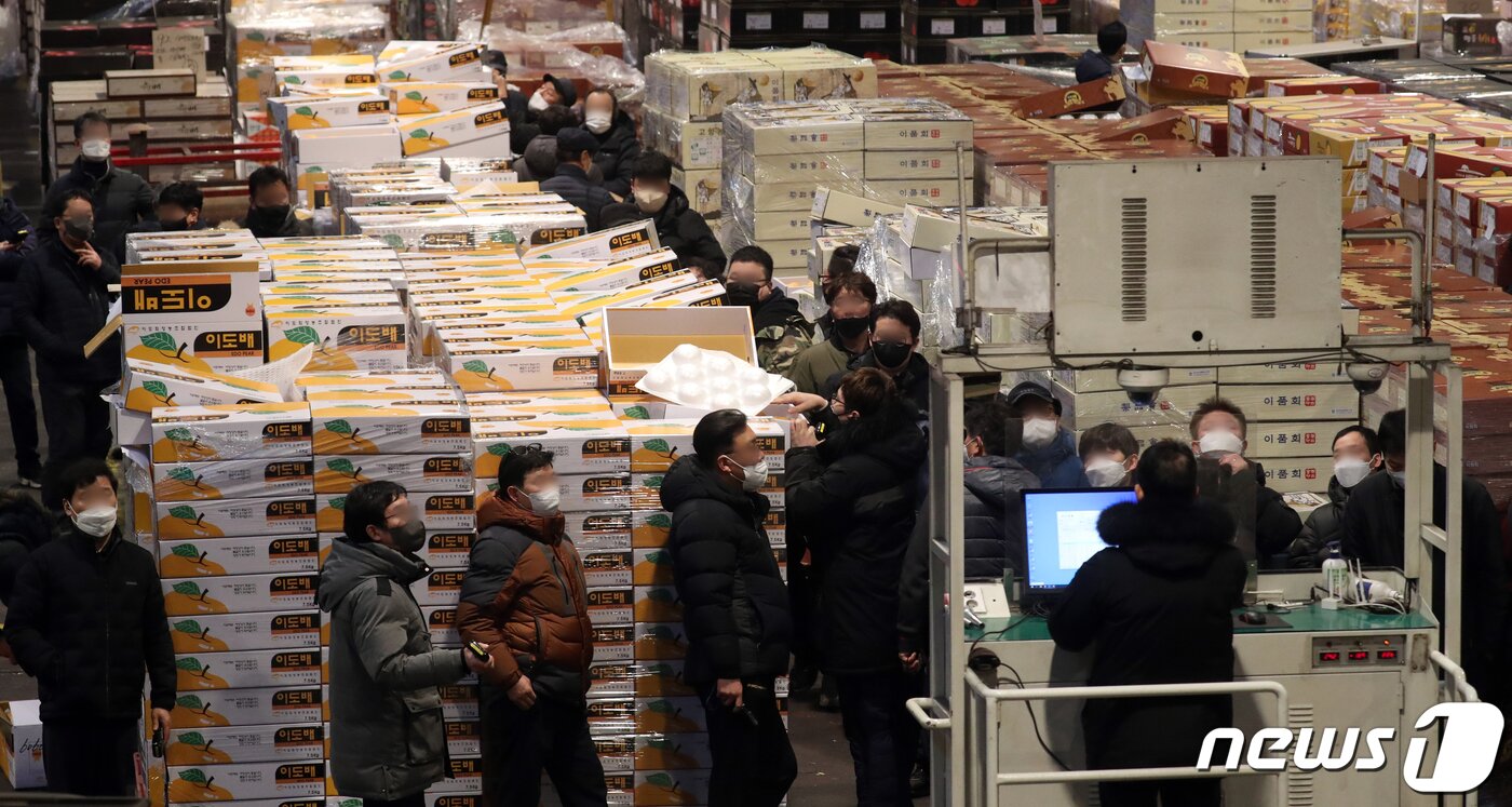 본문 이미지 -  서울 송파구 가락농수산물 도매시장에서 상인들이 과일을 경매하고 있다. 2022.1.25/뉴스1 ⓒ News1 김명섭 기자