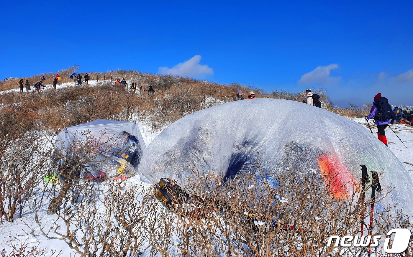 본문 이미지 - 비닐막 쉘터. 장군봉과 천제단 일원에서 비닐막 텐트를 치고 추위를 피하는 사람들 ⓒ 뉴스1