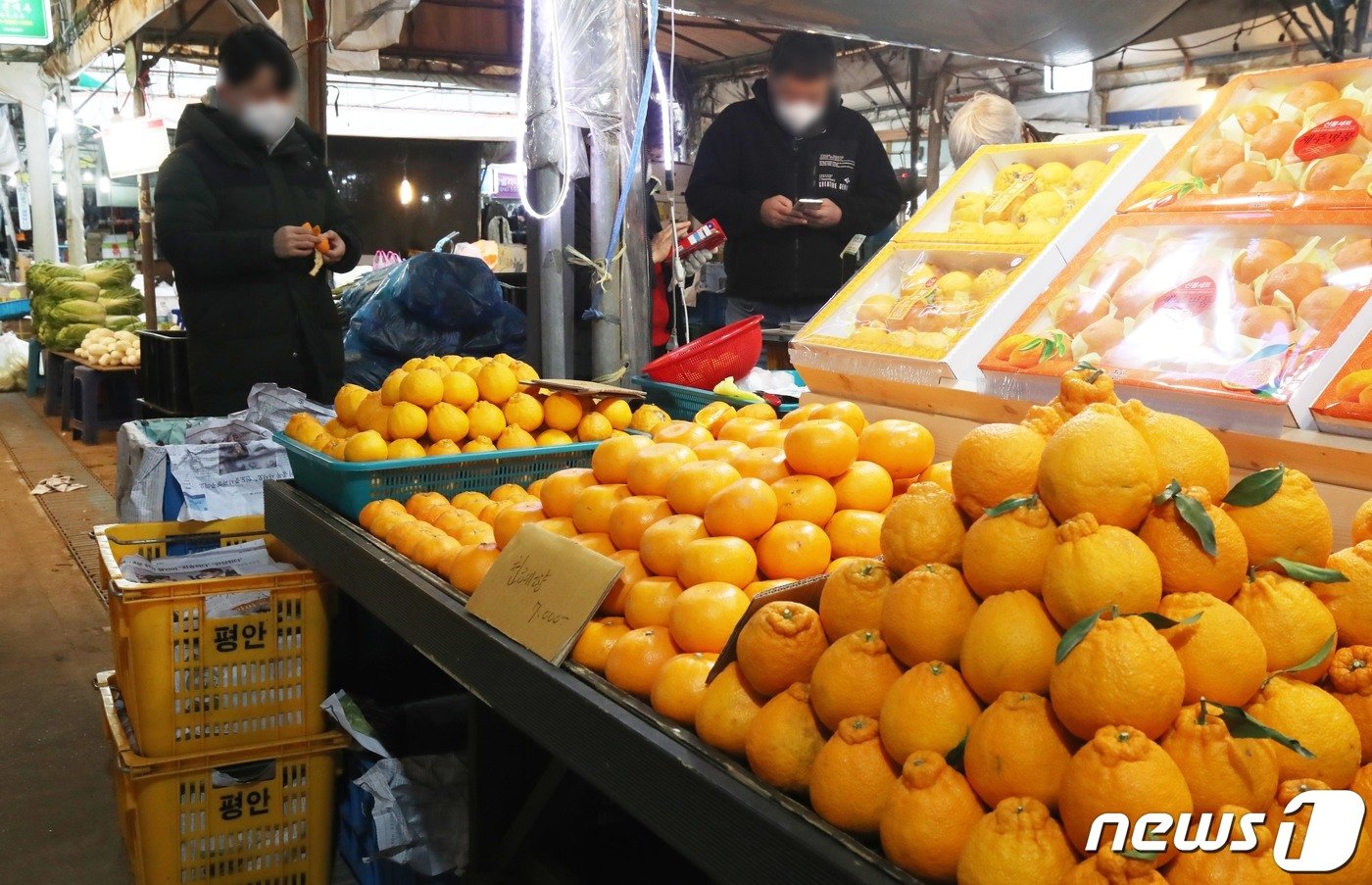 본문 이미지 - 제주시 민속오일시장에서 도민과 관광객들이 장을 보고 있다. 2022.1.27/뉴스1 ⓒ News1