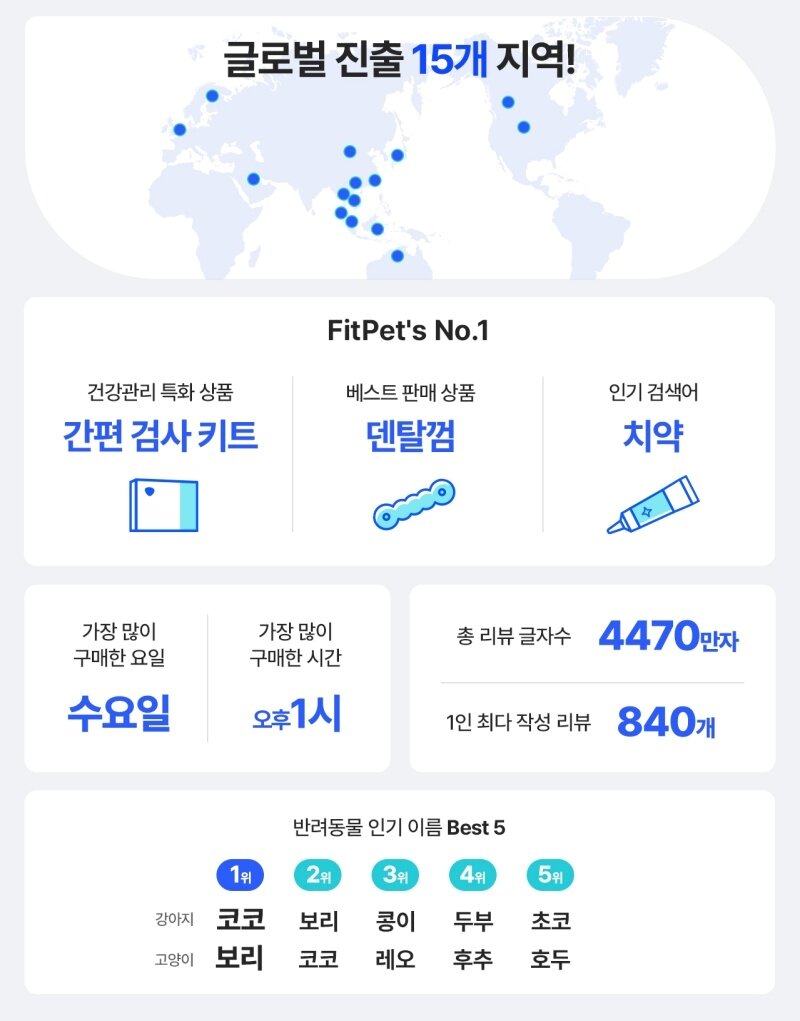본문 이미지 - 핏펫 제공 ⓒ 뉴스1
