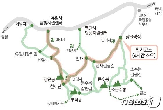 본문 이미지 - ⓒ 뉴스1 김초희 디자이너