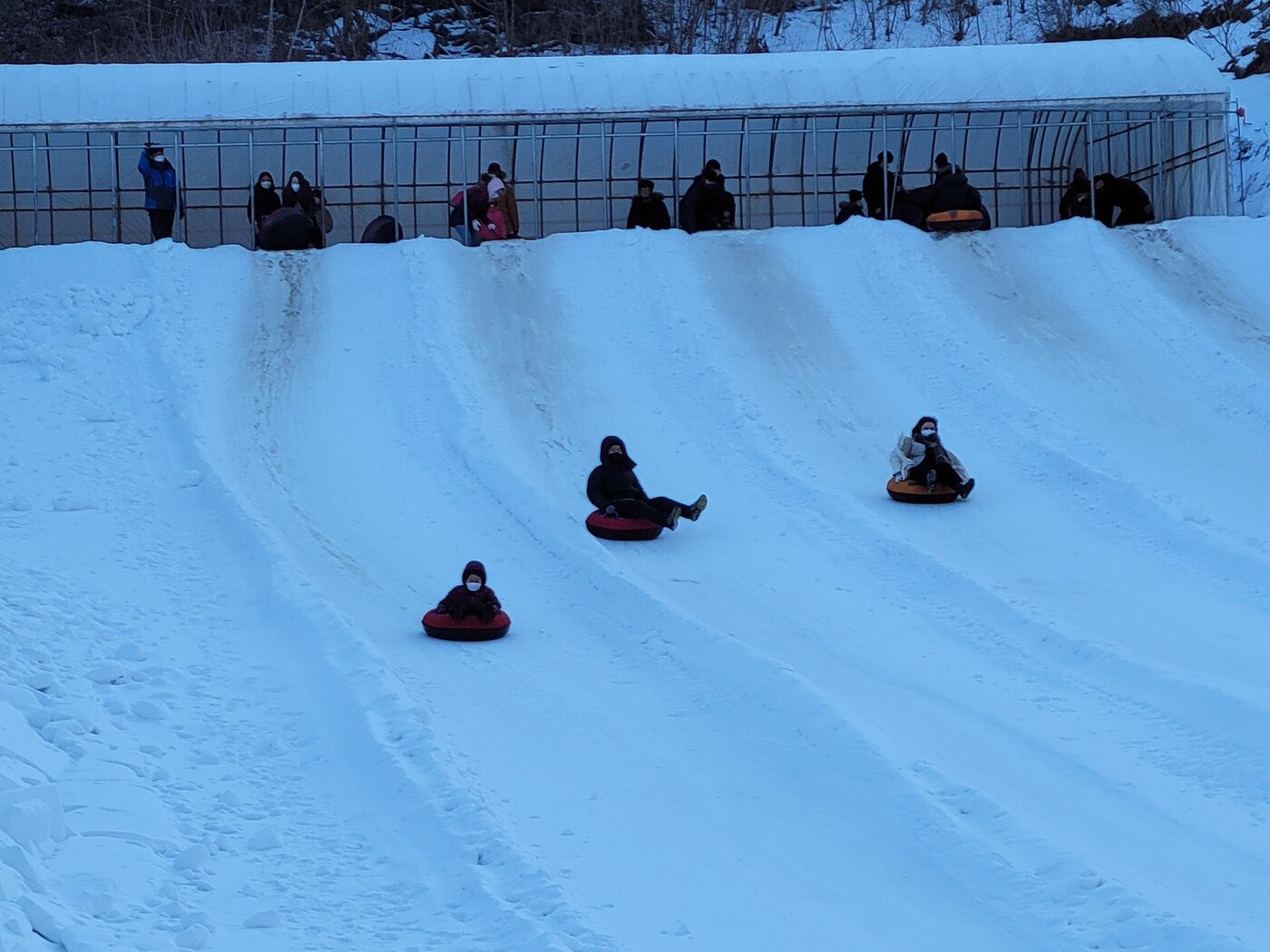 본문 이미지 - 눈썰매를 타는 사람들