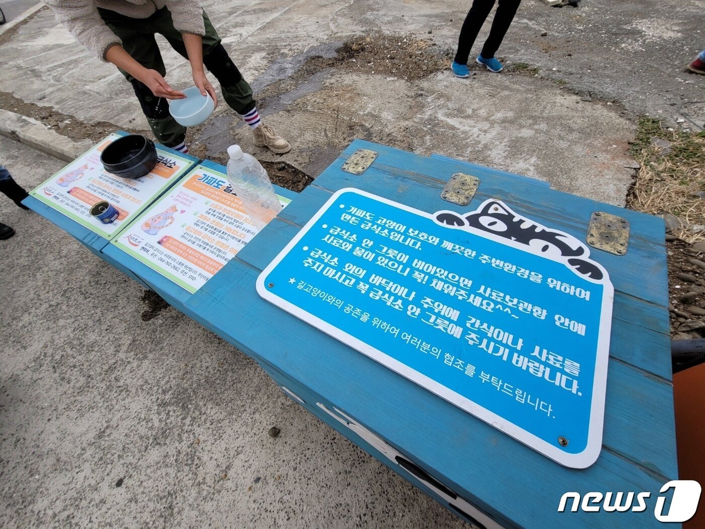 본문 이미지 - 가파도에 설치된 길고양이 급식소. 2022.1.31/뉴스1ⓒ News1