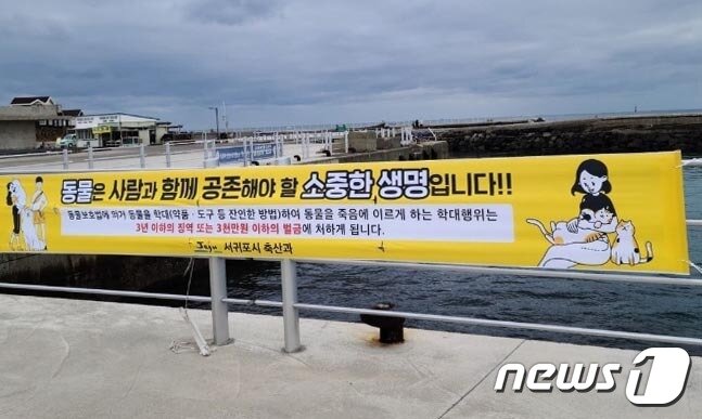 본문 이미지 - 가파도에 걸린 길고양이 인식 개선 관련 현수막.(김지은씨 제공) 2022.1.31/뉴스1ⓒ News1