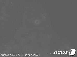 프랑스 과학자들이 돌연변이 46개를 보유하는 &#39;B.1.640.2&#39; 변이를 발견했다. ⓒ 뉴스1 &#40;IHU 트위터&#41;