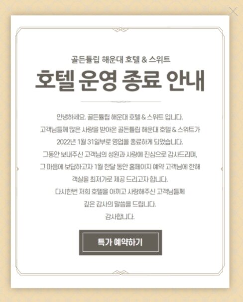 본문 이미지 - 골든튤립ⓒ 뉴스1