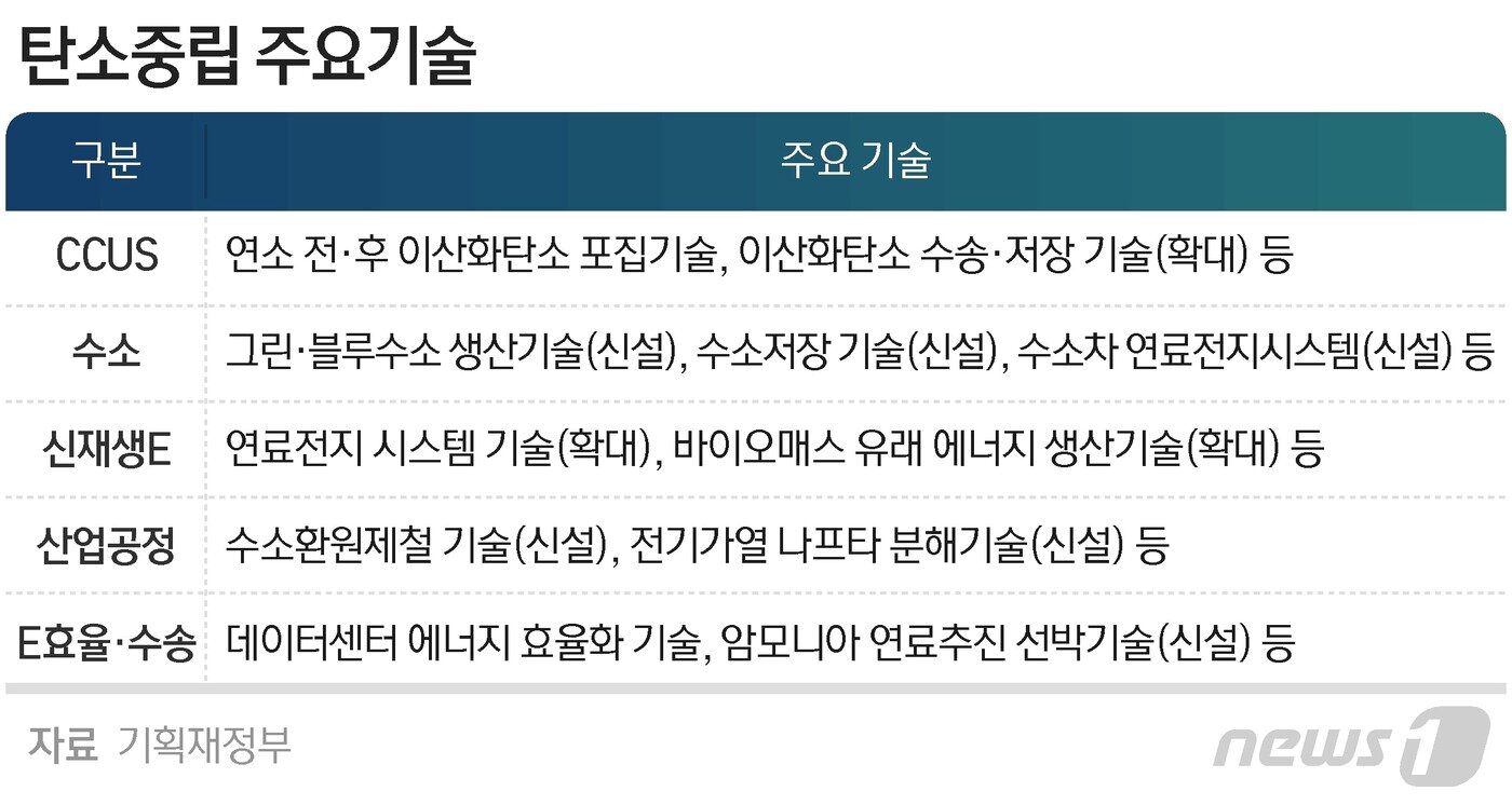 본문 이미지 - ⓒ News1 최수아 디자이너