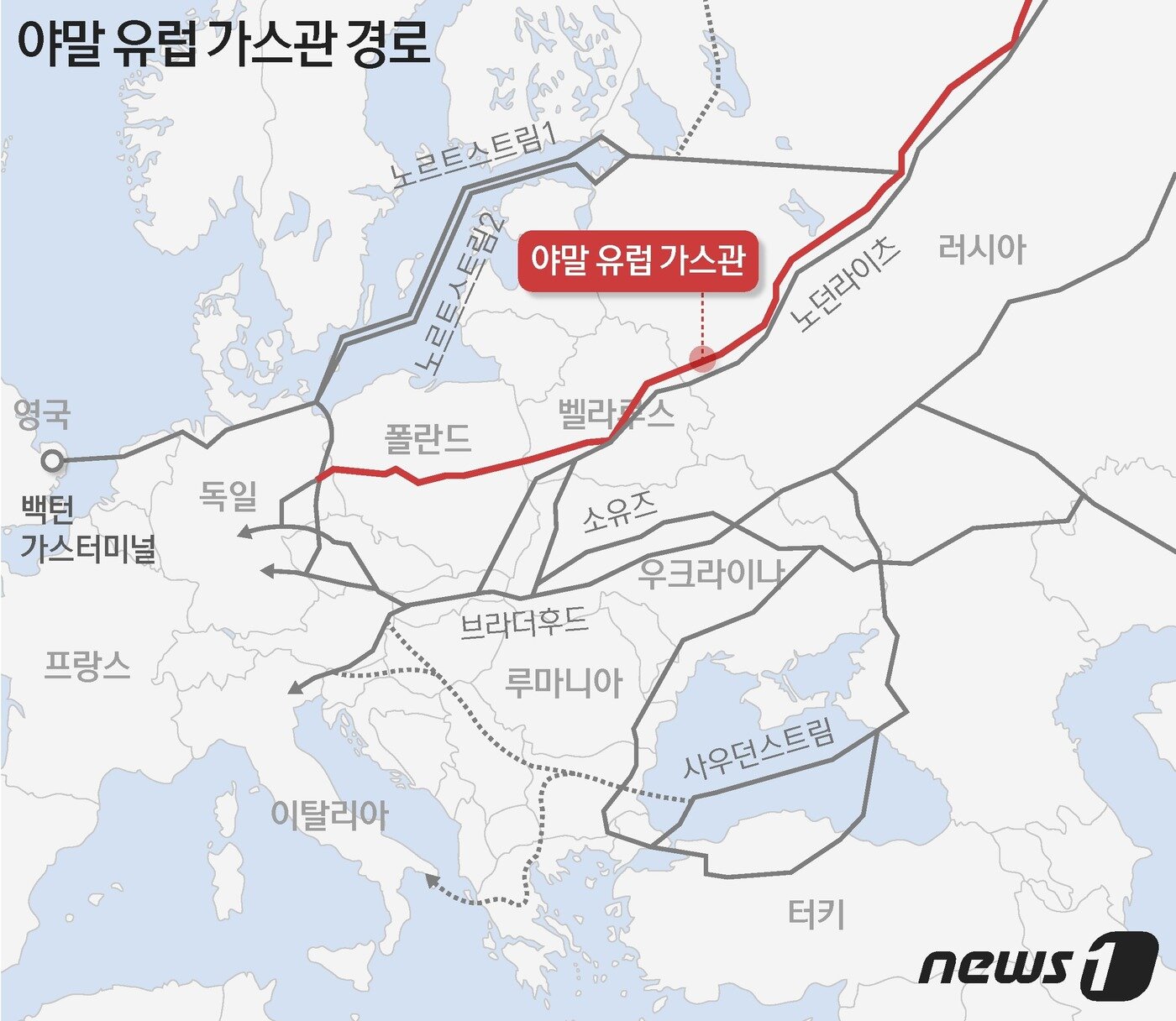 본문 이미지 - ⓒ News1 최수아 디자이너