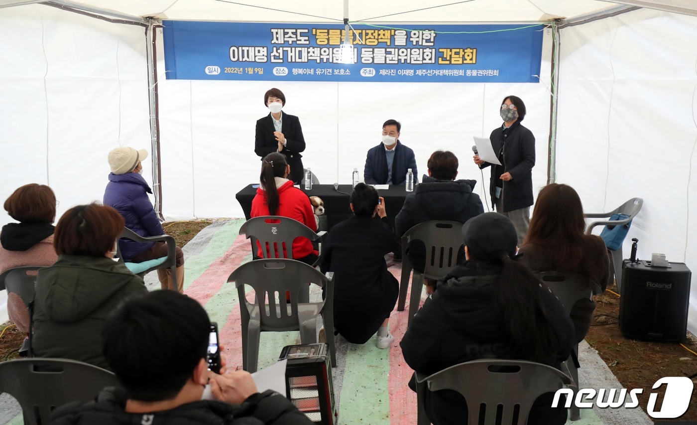 (제주=뉴스1) 오현지 기자 = 이재명 선거대책위원회 공동상황실장 겸 동물권위원회 공동위원장을 맡고 있는 고민정 의원이 9일 오전 제주시 아라동 행복이네 유기견 보호소에서 동물복지 …