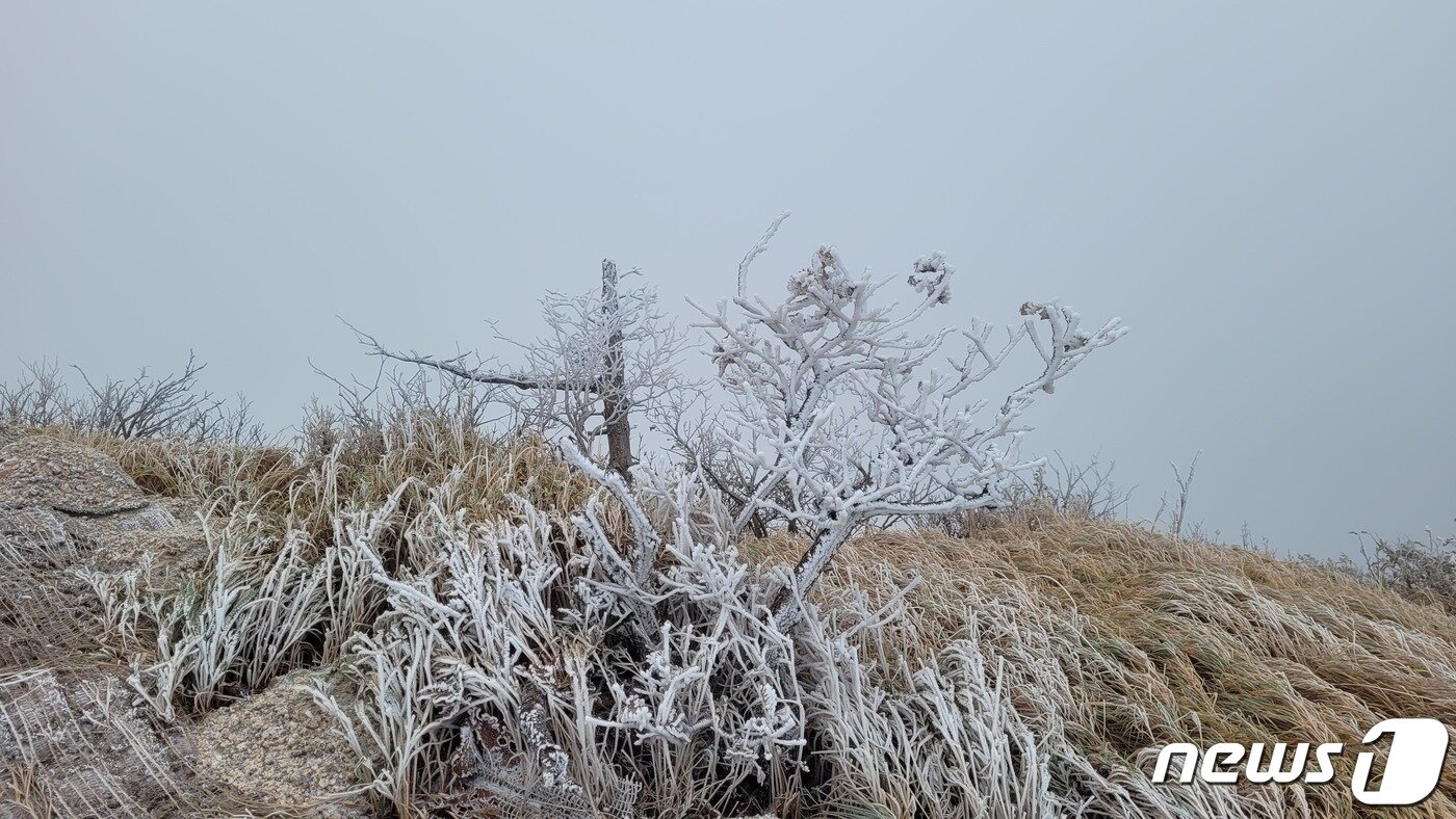 본문 이미지 - 10일 강원 설악산 중청대피소(해발 1590m)에서 관측된 올 가을 첫 눈(설악산국립공원사무소 제공) 2022.10.10/뉴스1 ⓒ News1 이종재 기자