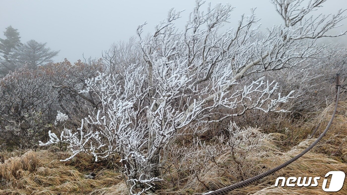 본문 이미지 - 10일 강원 설악산 중청대피소(해발 1590m)에서 관측된 올 가을 첫 눈(설악산국립공원사무소 제공) 2022.10.10/뉴스1 ⓒ News1 이종재 기자