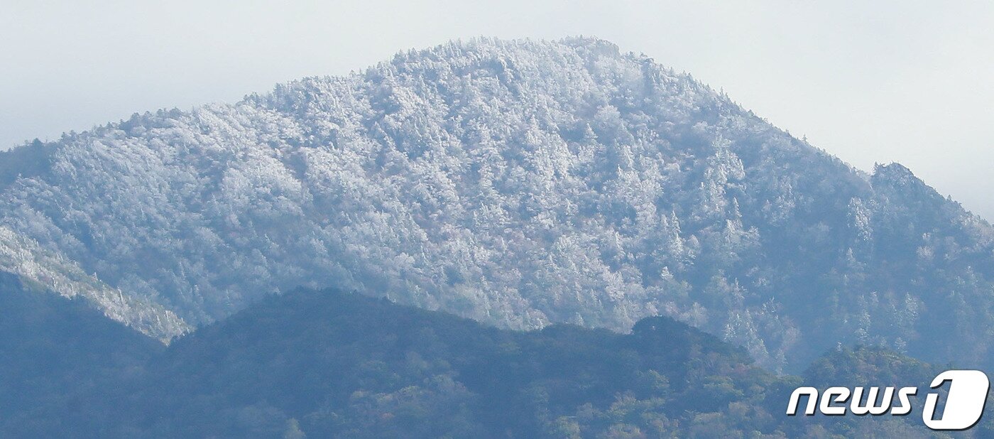 본문 이미지 - 10일 경남 함양군 마천면 지리산 조망공원에서 바라 본 지리산 천왕봉이 첫눈이 내려 하얗게 변해 있다.(함양군 제공) 2022.10.10/뉴스1 ⓒ News1 임세영 기자