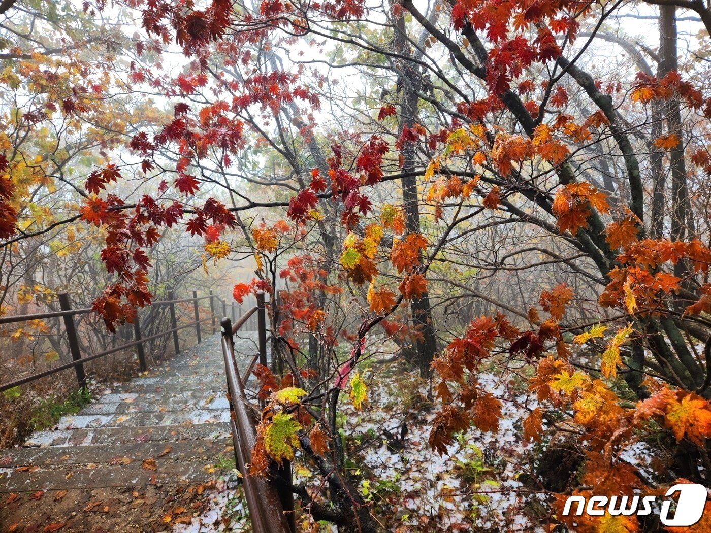 본문 이미지 - 원주 치악산 비로봉 정상(해발 1288m).ⓒ News1 DB