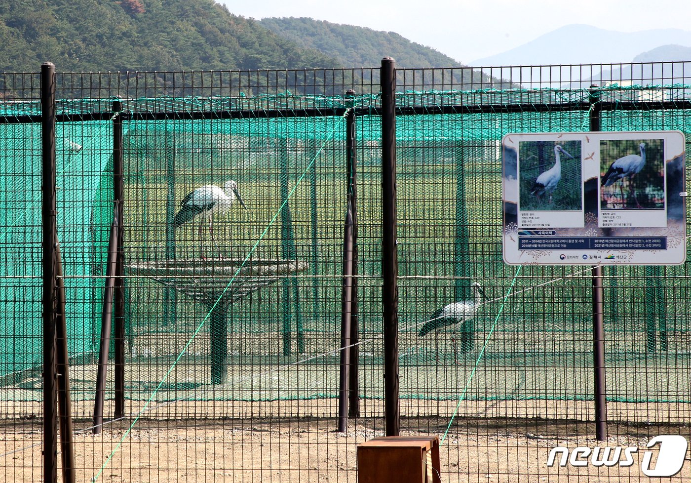 김해시가 봉하뜰에 마련한 황새 방사장. &#40;김해시 제공&#41;