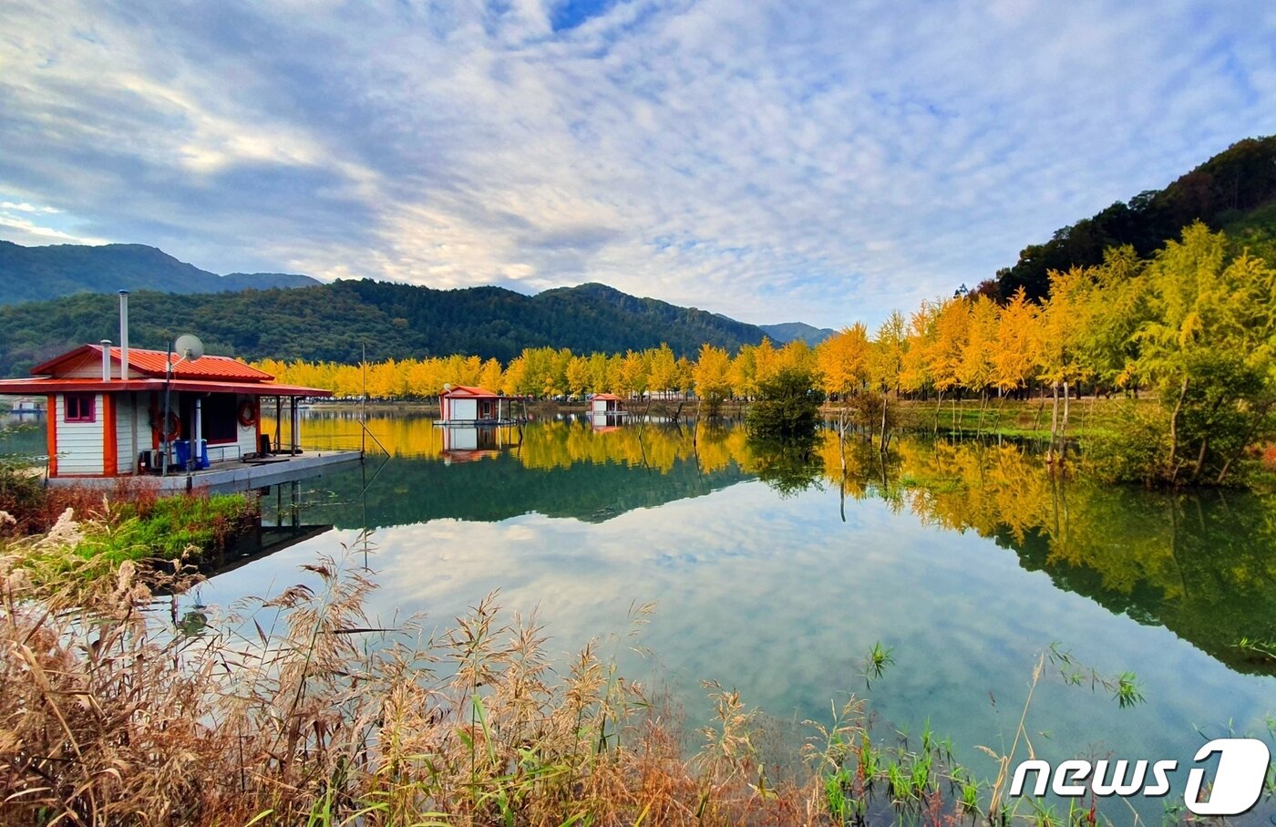 본문 이미지 - 충북 괴산 문광저수지.(괴산군 제공) / 뉴스1