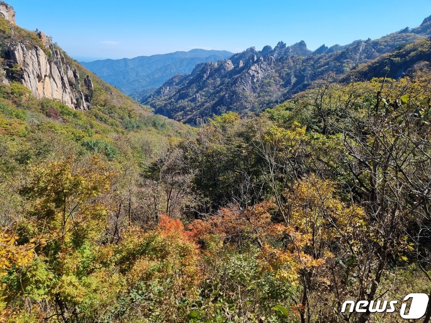 본문 이미지 - 본격 가을 단풍철이 시작된 13일 강원 인제와 양양을 잇는 설악산국립공원 한계령 일대에 단풍이 물들고 있다. 2022.10.13/뉴스1 ⓒ News1 윤왕근 기자