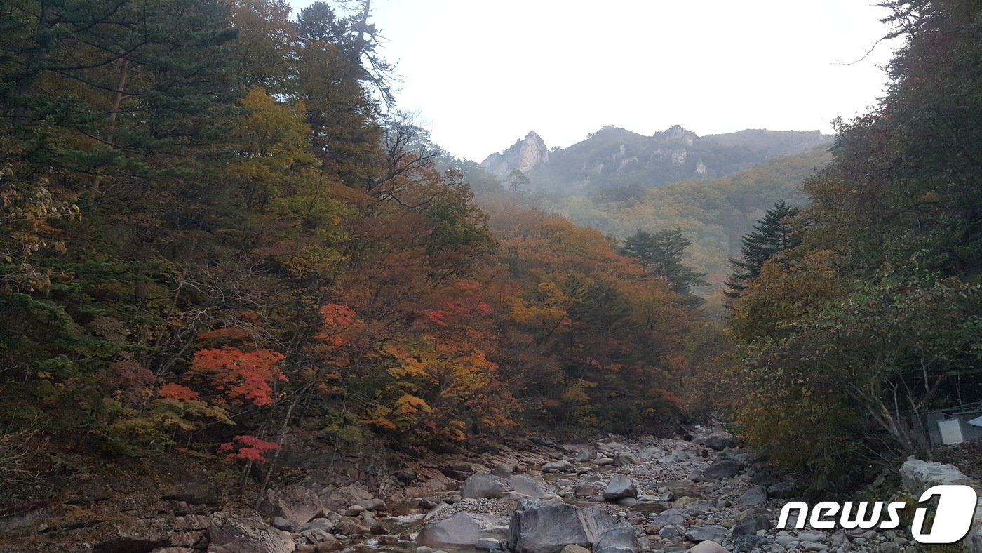 본격 가을 단풍철이 시작된 13일 설악산국립공원 수렴동 일대에 단풍이 물들고 있다. &#40;설악산국립공원사무소 제공&#41; 2022.10.13/뉴스1 