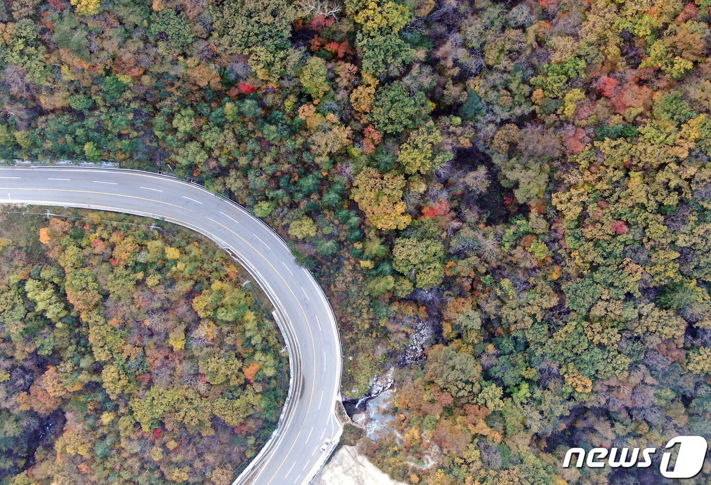 본문 이미지 - 13일 오후 강원 평창군 오대산 자락 진고개에 단풍이 물들기 시작하고 있다. 기상청은 오는 17일과 21일 사이 오대산과 설악산 단풍이 절정에 이를 것으로 내다봤다. 2022.10.13/뉴스1 ⓒ News1 구윤성 기자