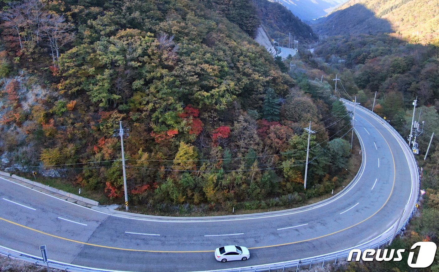 본문 이미지 - 단풍 물드는 진고개 자료사진.&#40;뉴스1 DB&#41; 