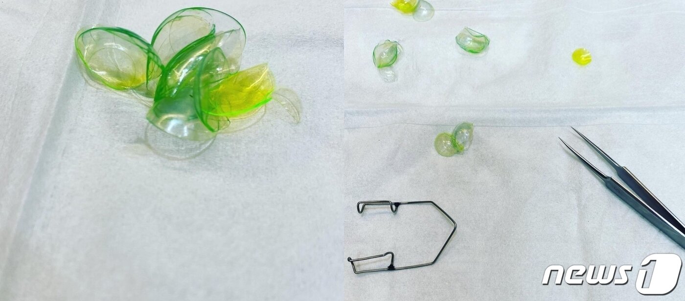 본문 이미지 - (인스타그램)