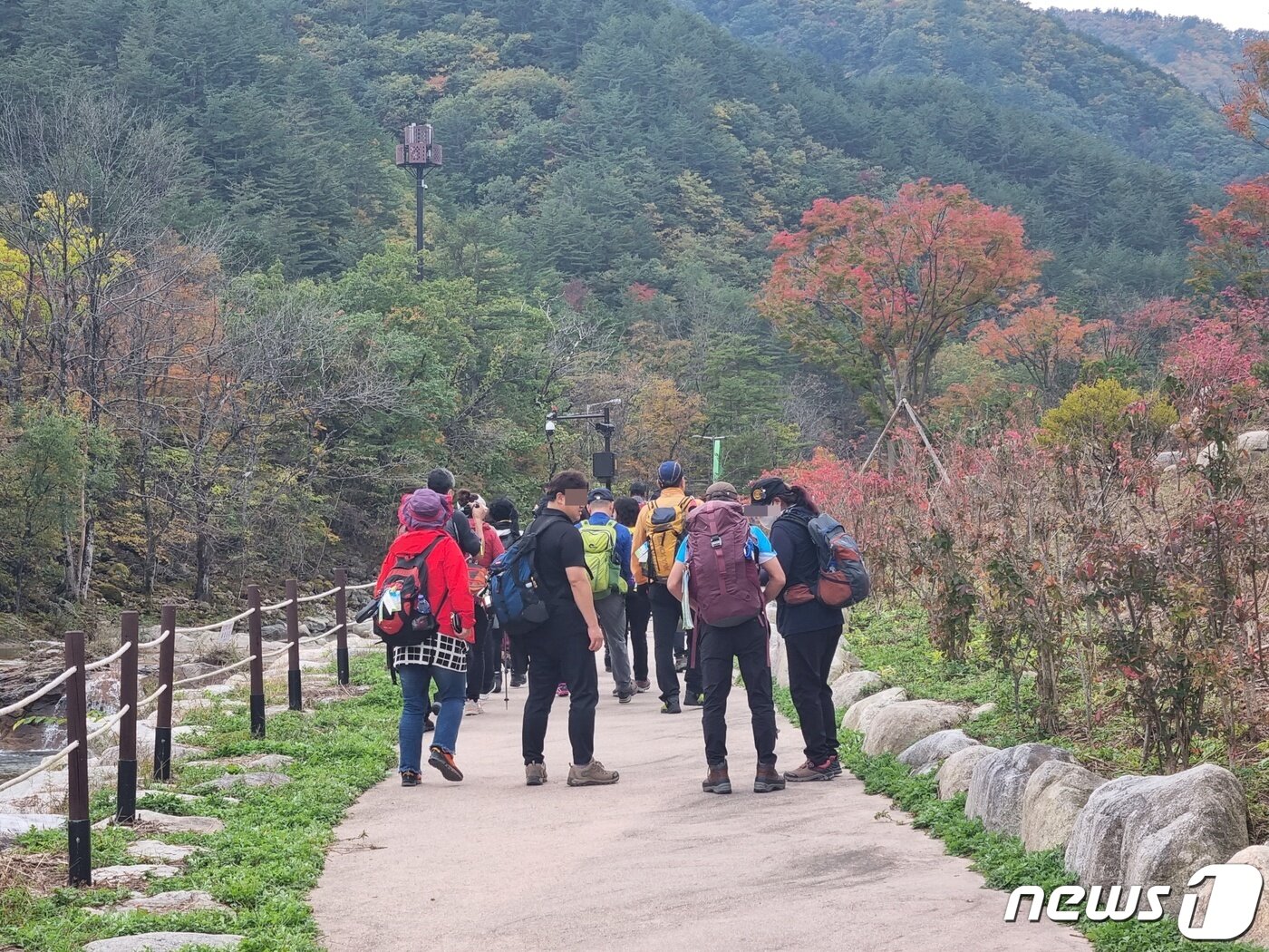 본문 이미지 - 가을 단풍 절정이 시작된 16일 강원 강릉 연곡면 오대산국립공원 소금강계곡을 찾은 단풍객들이 휴일을 즐기고 있다. 2022.10.16/뉴스1 ⓒ News1 윤왕근 기자