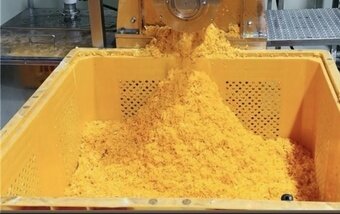 본문 이미지 - 감귤 착즙 후 쏟아지는 감귤박. (일해 제공)