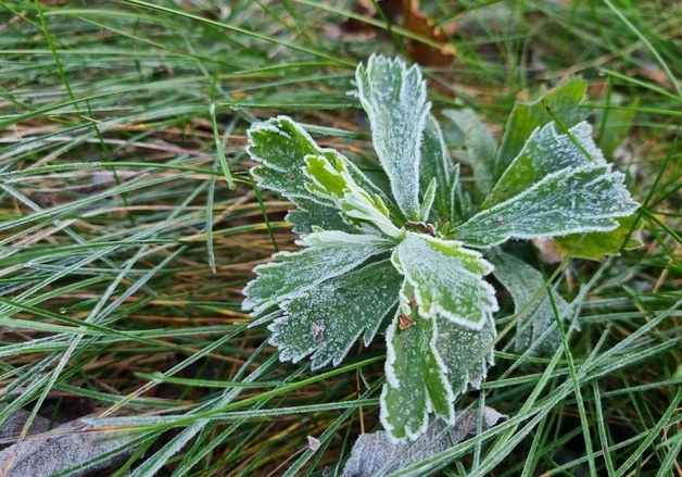 [오늘의 날씨] 강원(12일, 수)…아침 영서·산지 영하권, 안개 주의
