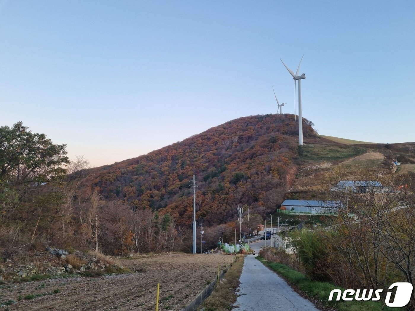 본문 이미지 - 안반데기 단풍 자료사진.&#40;뉴스1 DB&#41;ⓒ News1 윤왕근 기자