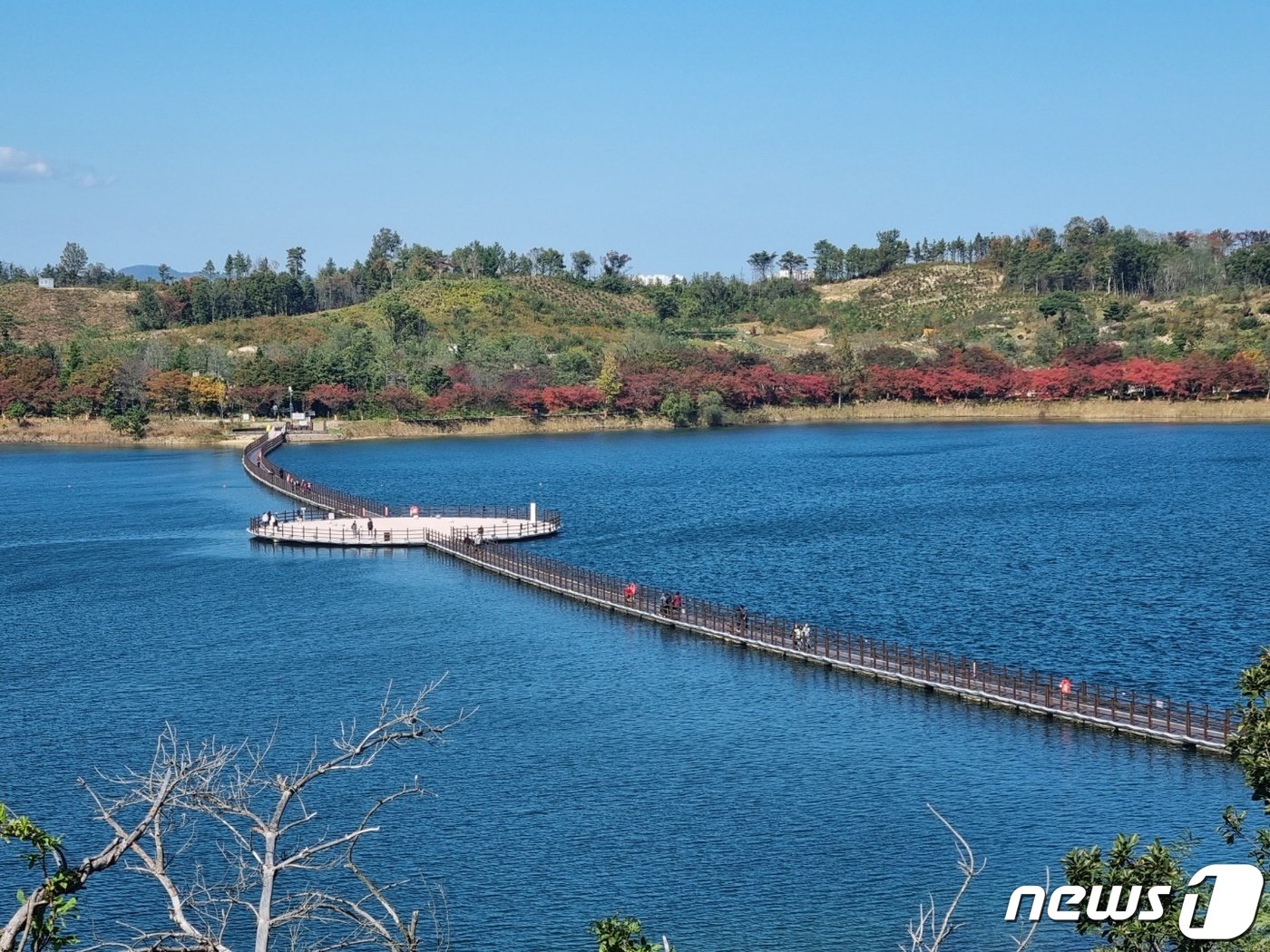 본문 이미지 - 강원 속초시 영랑호수윗길. 전경.&#40;뉴스1 DB&#41; ⓒ News1 윤왕근 기자