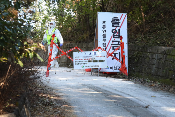 경북 성주서 고병원성 AI 확진…"올해 AI 바이러스 감염력 예년 10배"
