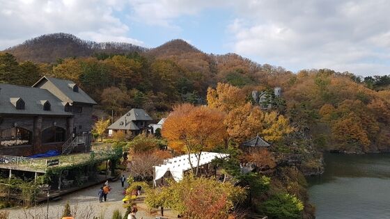 충북 옥천에 자리한 수생식물학습원의 가을 풍경(수생식물학습원 제공)