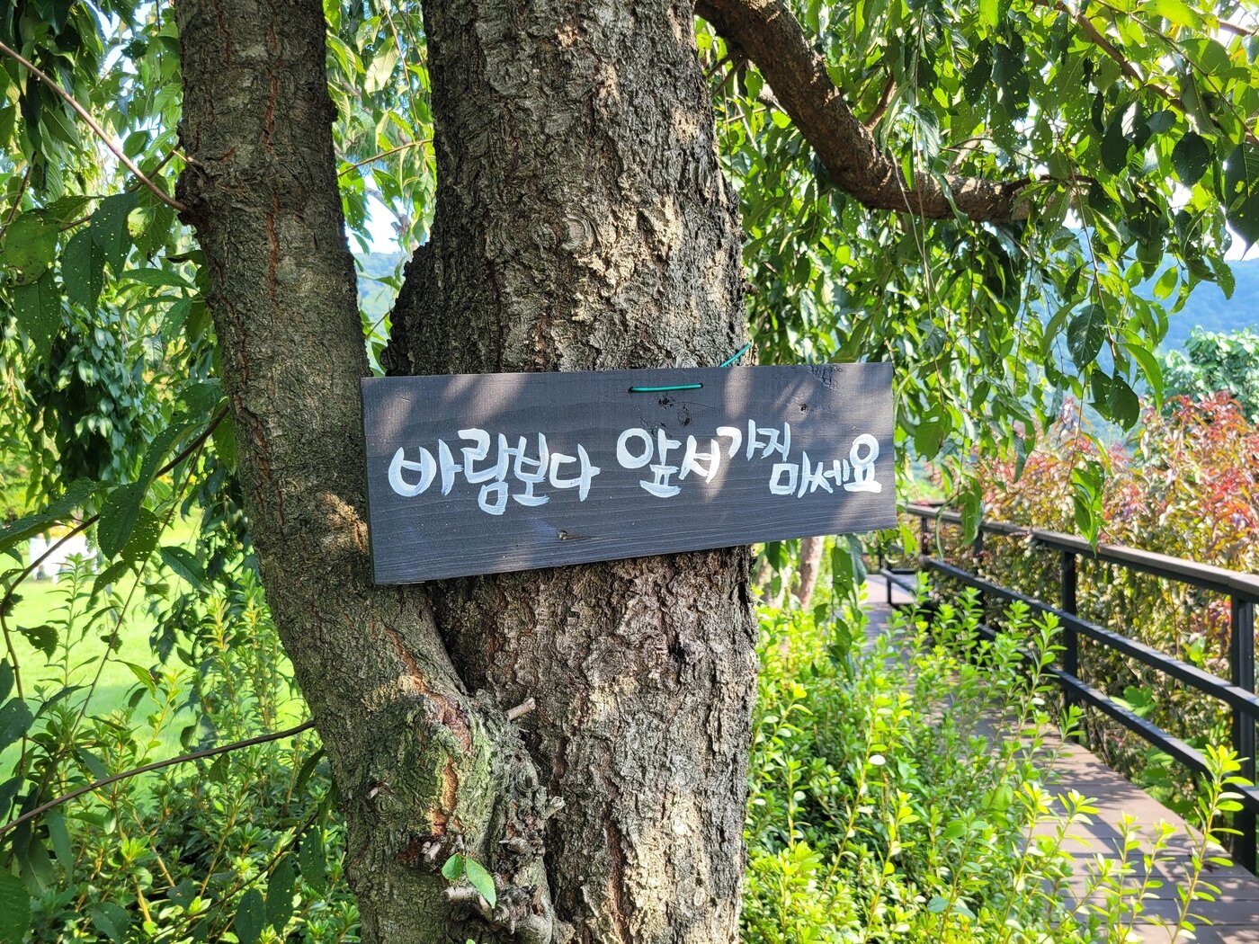 본문 이미지 - 산책길에 걸린 푯말&#40;한국관광공사 제공&#41;