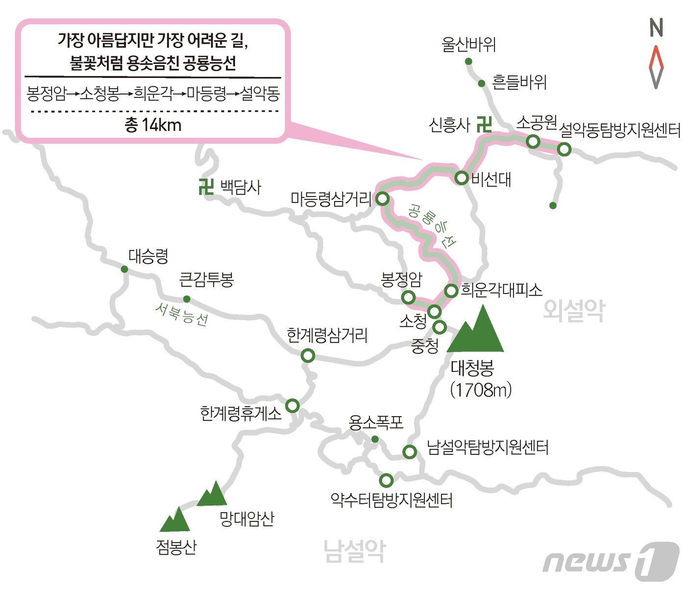 본문 이미지 - ⓒ News1 윤주희 디자이너