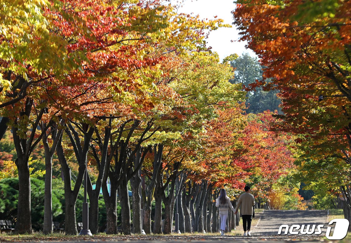 오늘의 날씨] 울산(22일, 토)…오후 맑아져, 일교차 크니 건강 조심