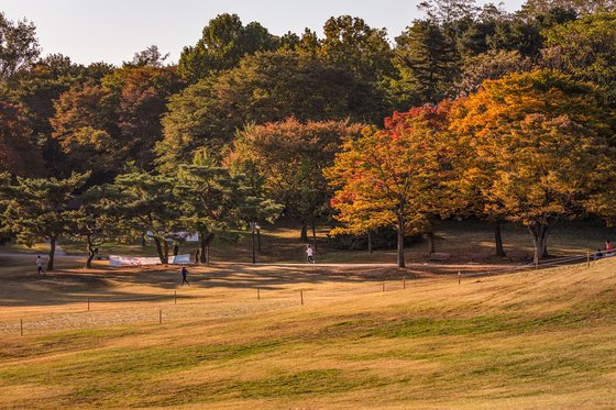 서울 단풍 명소 알고 계신가요?