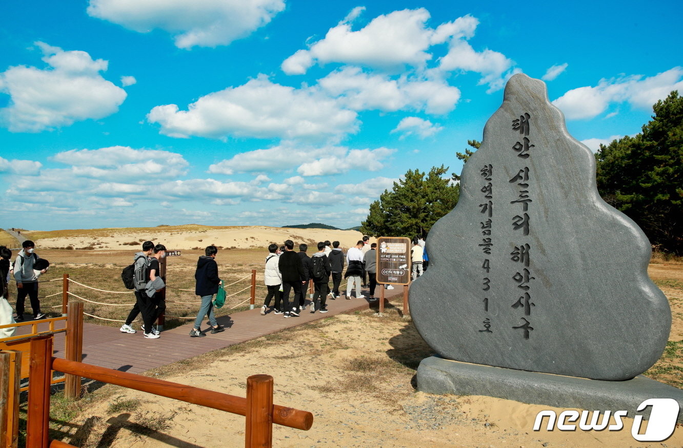 지난해 사구 축제 모습. &#40;태안군 제공&#41; /뉴스1