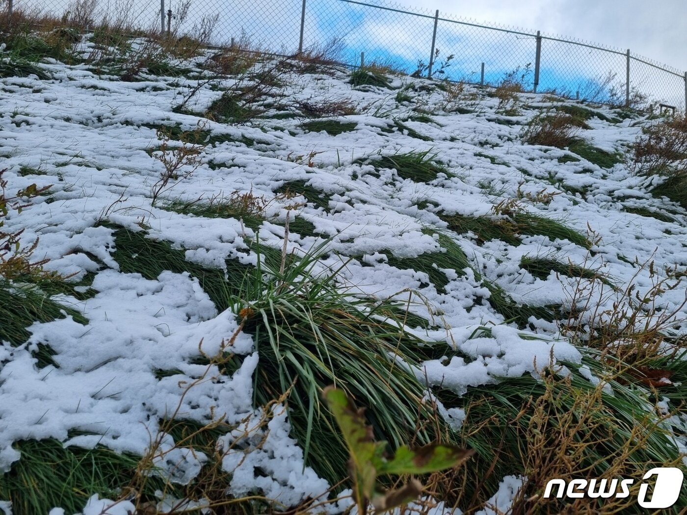 본문 이미지 - 강원북부산지에 대설주의보가 발효된 24일 강원 고성군 토성면과 인제군 북면을 잇는 미시령 옛길에 눈이 내려 있다. 10월에 강원지역에 발효된 대설주의보는 지난 2005년 10월 22일 이후 17년 만이다. 2022.10.24/뉴스1 ⓒ News1 윤왕근 기자
