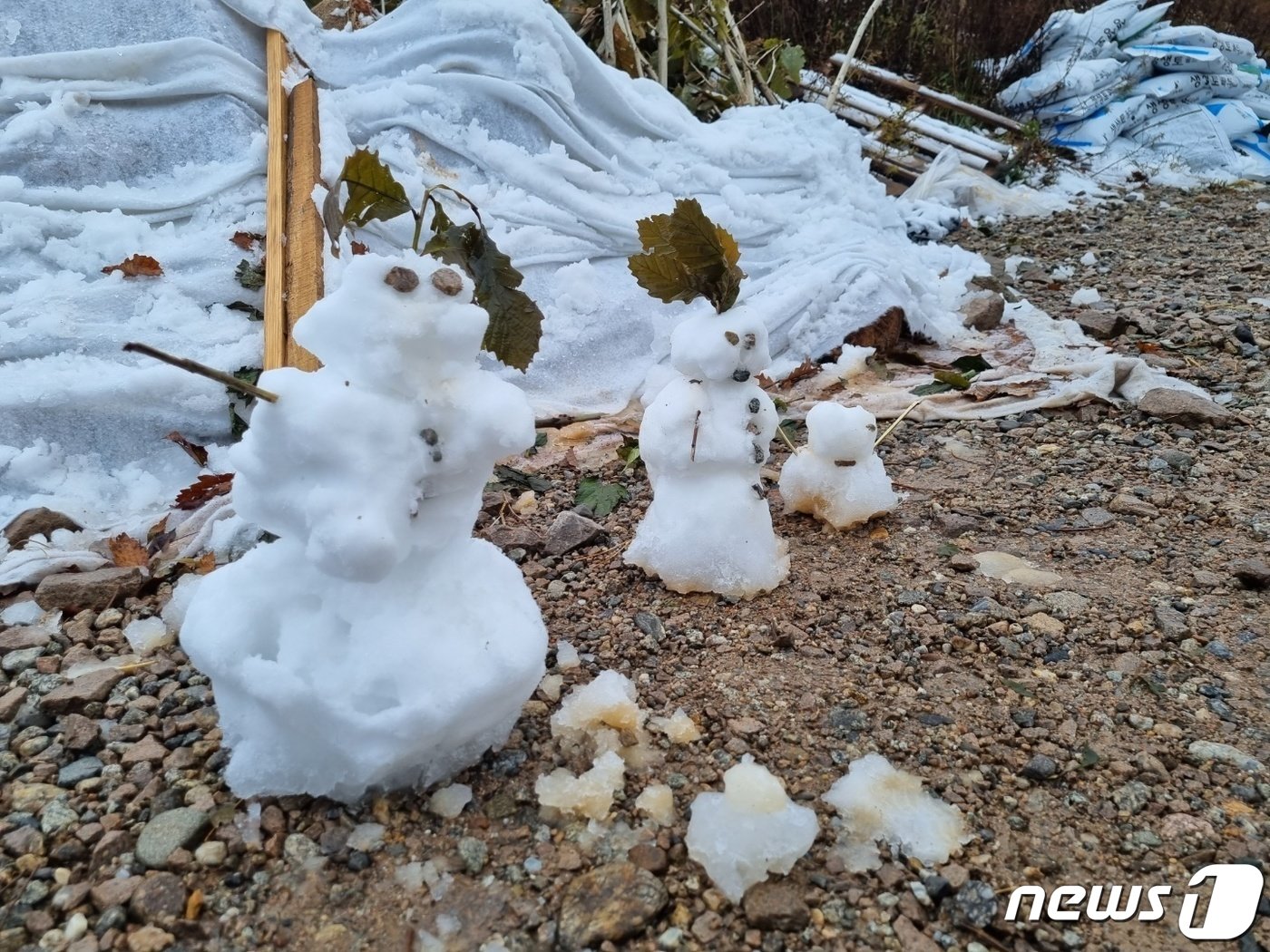 본문 이미지 - 강원북부산지에 대설주의보가 발효된 24일 강원 고성군 토성면과 인제군 북면을 잇는 미시령 옛길에 누군가 만든 눈사람이 서 있다. 10월 강원지역에 발효된 대설주의보는 지난 2005년 10월 22일 이후 17년 만으로, 이날 낮 12시 기준 설악산 중청대피소 인근에는 12㎝의 눈이 쌓이기도 했다. 2022.10.24/뉴스1 ⓒ News1 윤왕근 기자