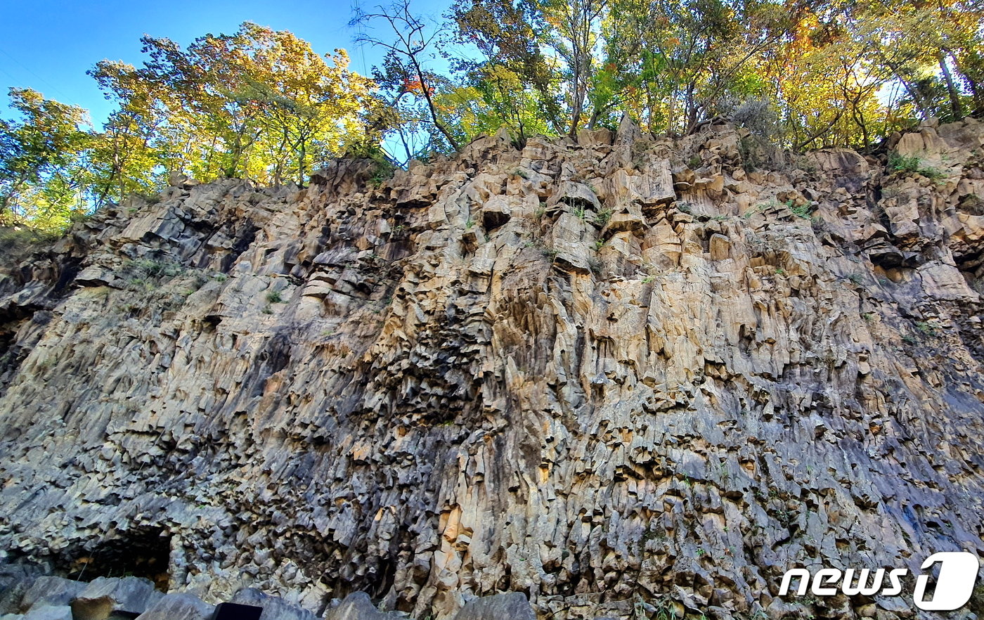 재인폭포 절벽 디테일. 사진을 확대해 보면 왼쪽 상부에 수평절리, 왼쪽 하부에 동굴, 가운데에 수직절리&#40;주상절리&#41; 등의 다양한 지질현상을 관찰할 수 있다.