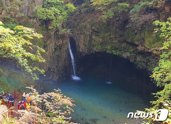 비둘기낭 폭포. 숲속에 감추어진 비밀의 폭포에 초록 물이 가득 담긴 물웅덩이와 커다란 동굴.