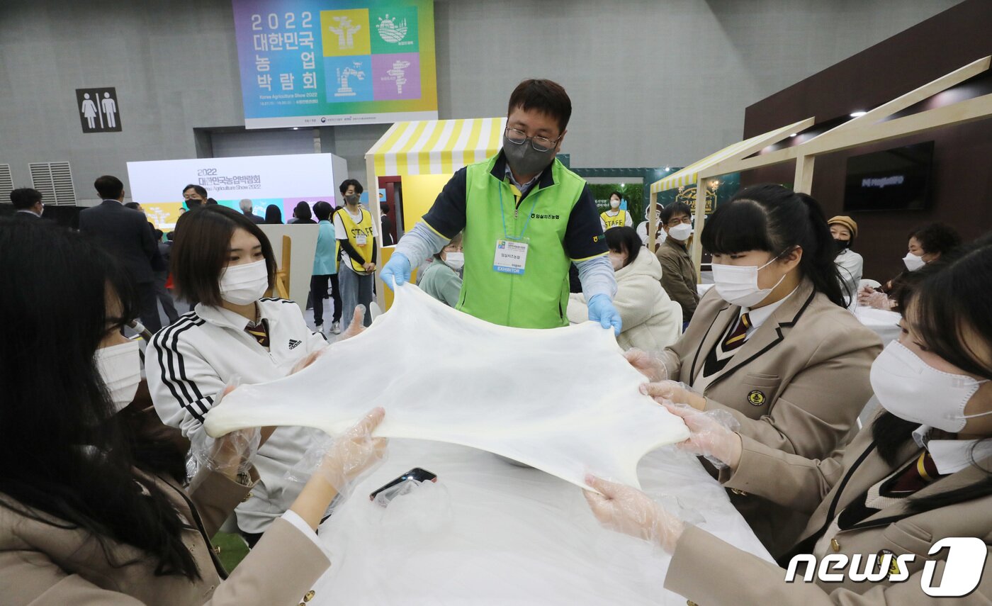 본문 이미지 - 27일 오전 경기 수원시 영통구 수원컨벤션센터에서 열린 '2022 대한민국 농업박람회'를 찾은 학생들이 유기농 치즈만들기 체험을 하고 있다. 2022.10.27/뉴스1 ⓒ News1 김영운 기자